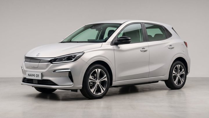 DONGFENG NAMI 01